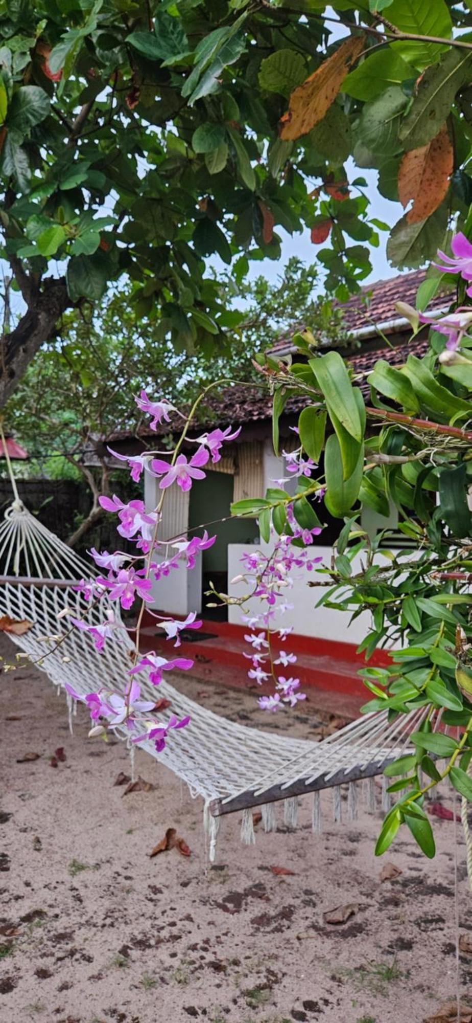 Angeo Beach House Alappuzha Buitenkant foto
